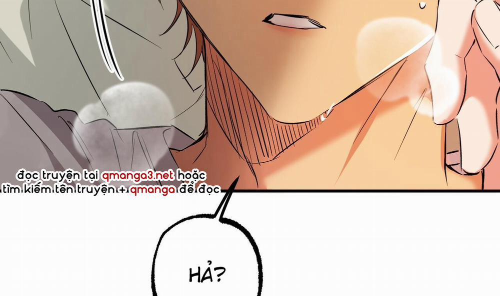 Đàn Thỏ Của Habibi 53 trang 244