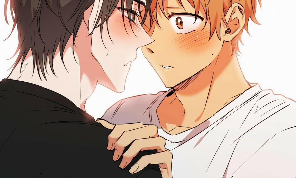 Đàn Thỏ Của Habibi 53 trang 261