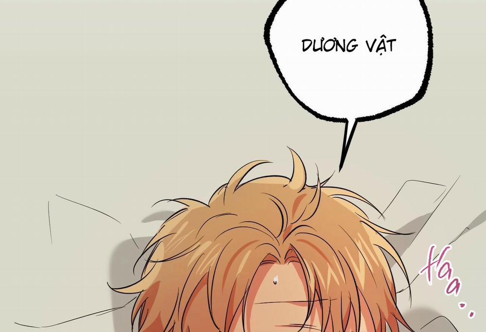 Đàn Thỏ Của Habibi 54 trang 118