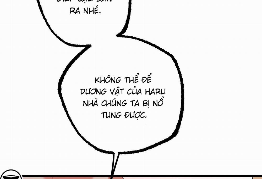 Đàn Thỏ Của Habibi 54 trang 126