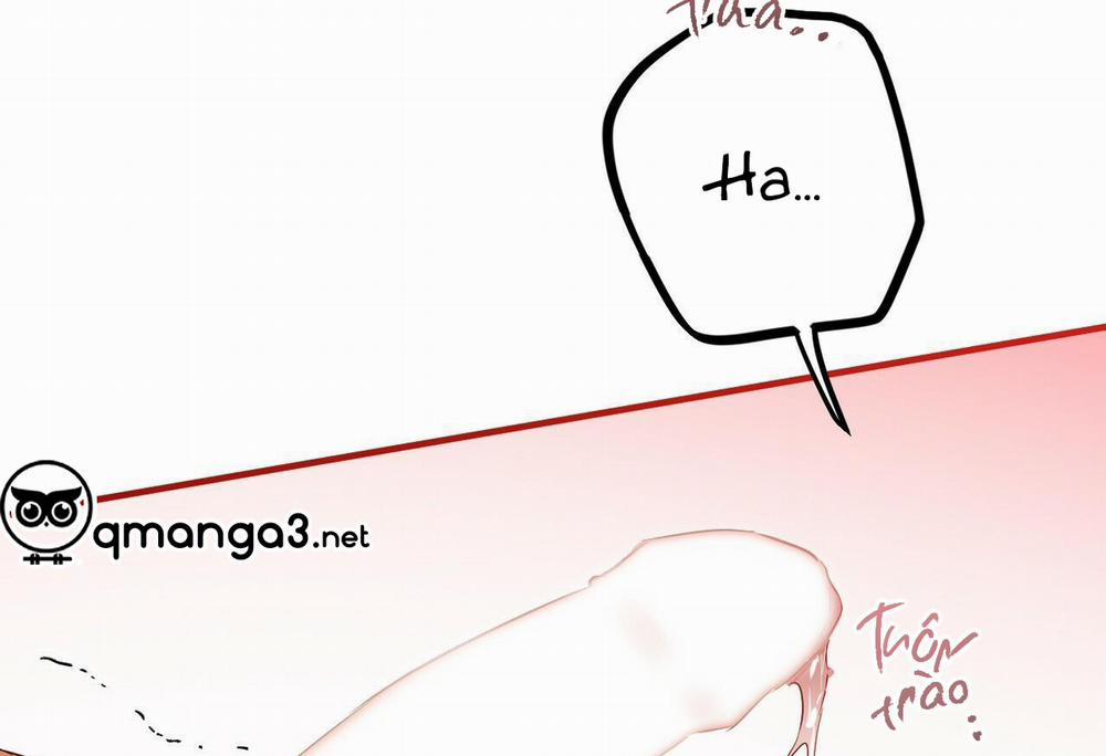 Đàn Thỏ Của Habibi 54 trang 133