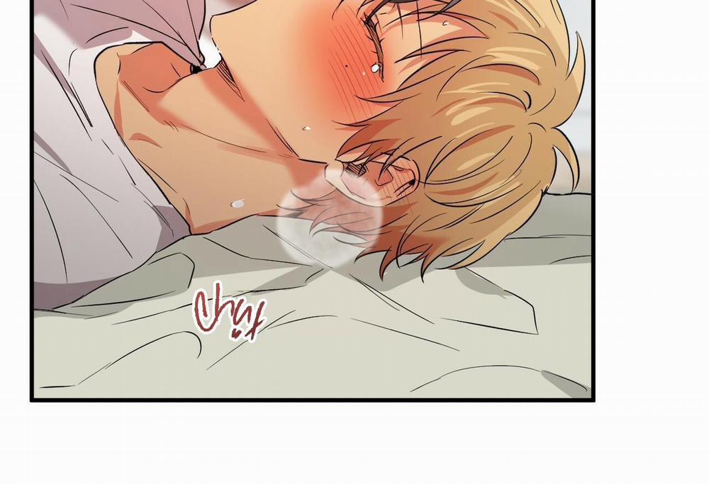 Đàn Thỏ Của Habibi 54 trang 142