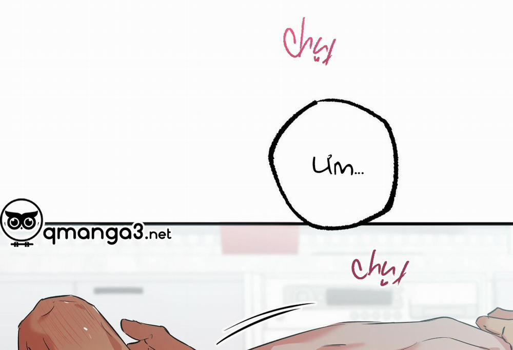 Đàn Thỏ Của Habibi 54 trang 144