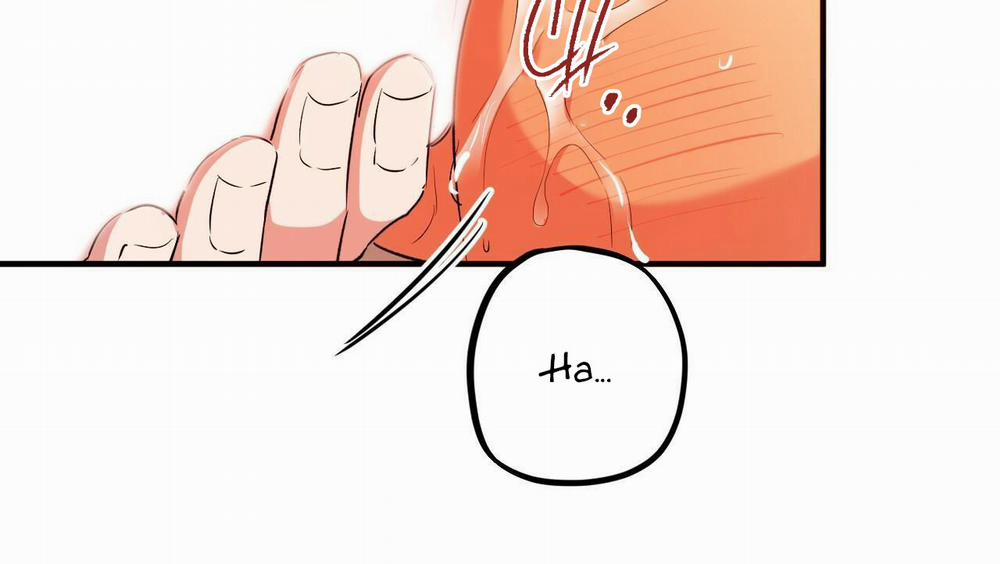 Đàn Thỏ Của Habibi 54 trang 156