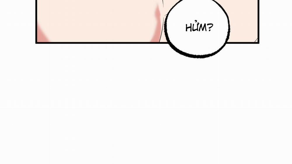 Đàn Thỏ Của Habibi 54 trang 162