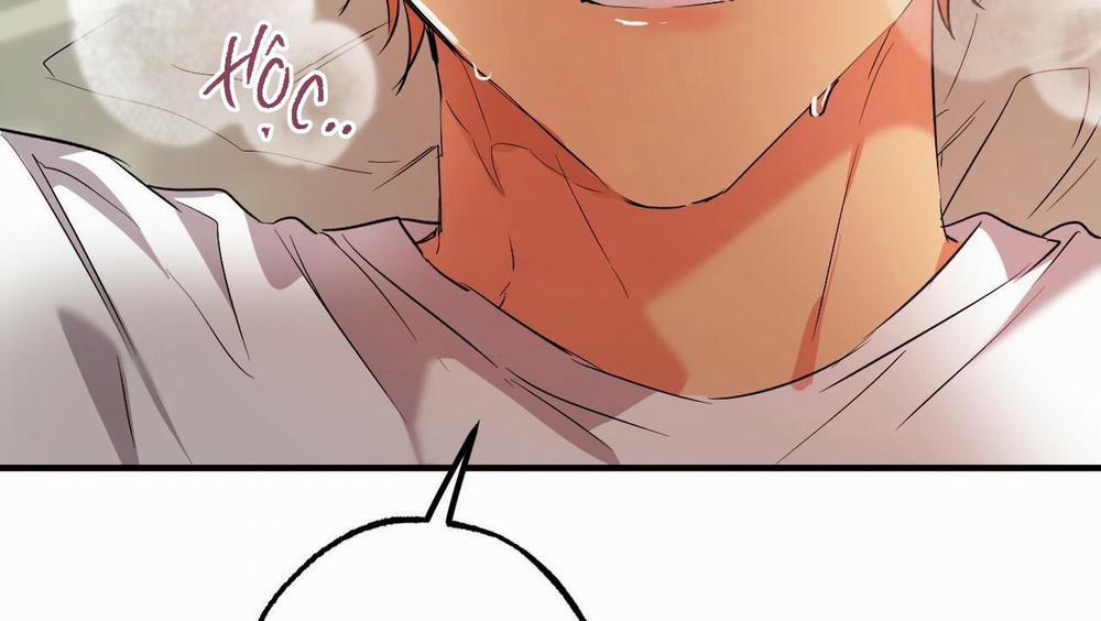 Đàn Thỏ Của Habibi 54 trang 165