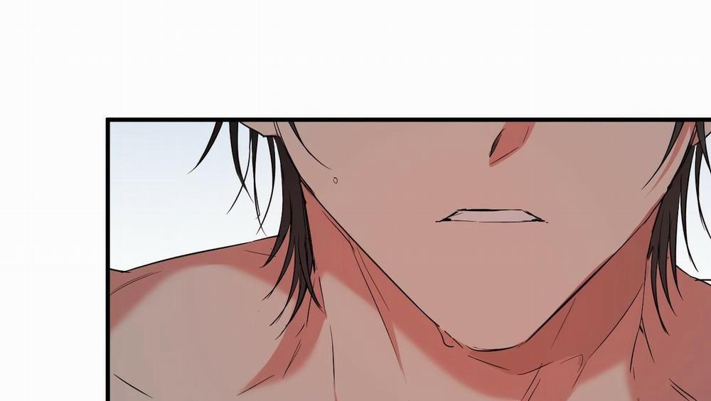 Đàn Thỏ Của Habibi 54 trang 167