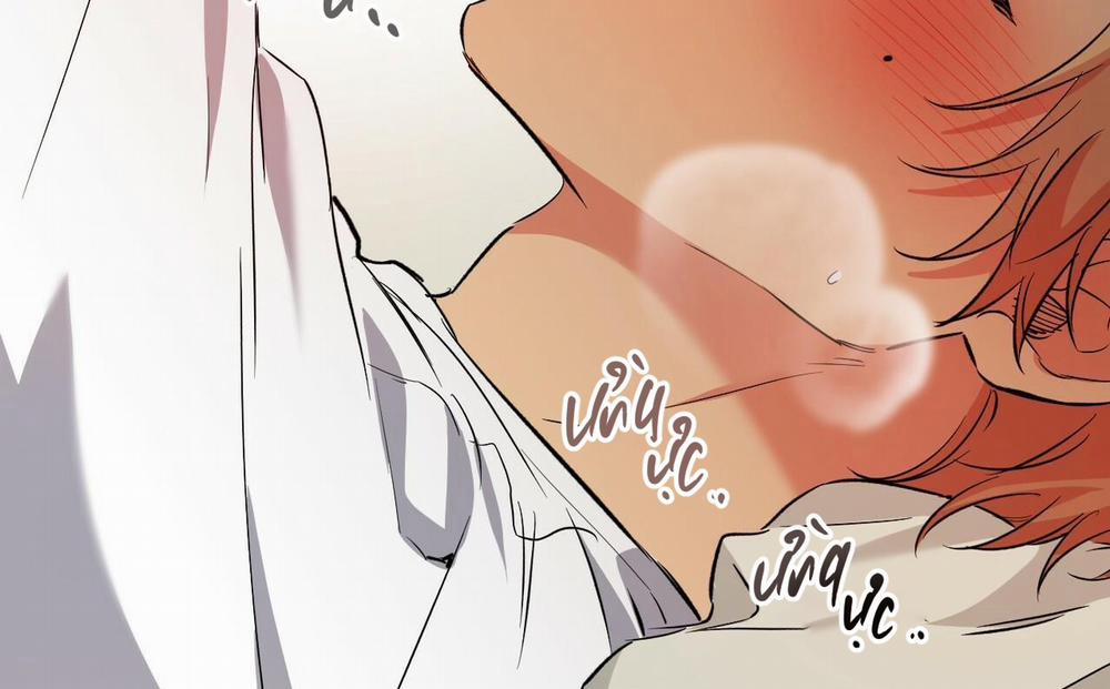 Đàn Thỏ Của Habibi 54 trang 17