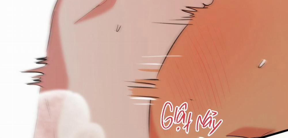 Đàn Thỏ Của Habibi 54 trang 194