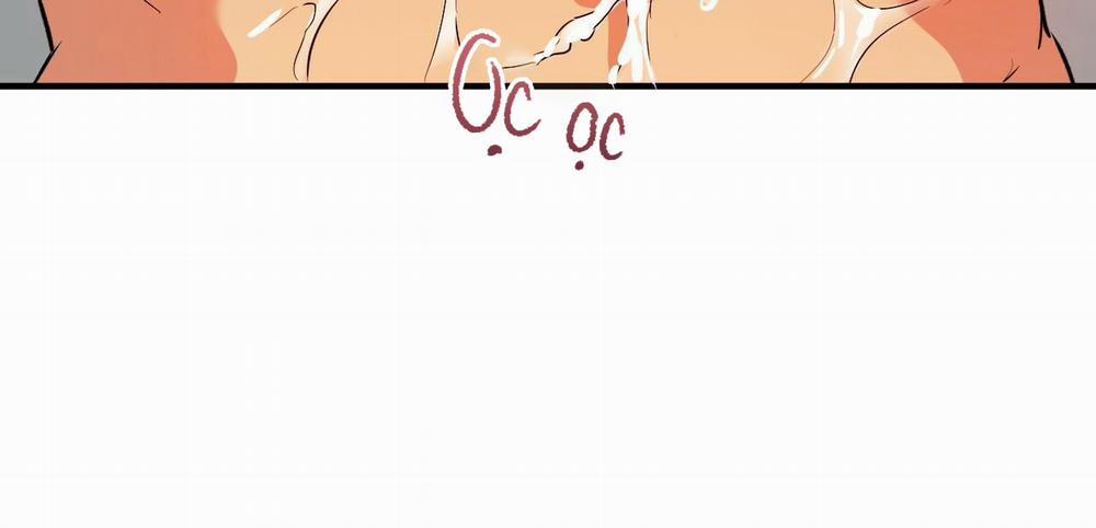 Đàn Thỏ Của Habibi 54 trang 203