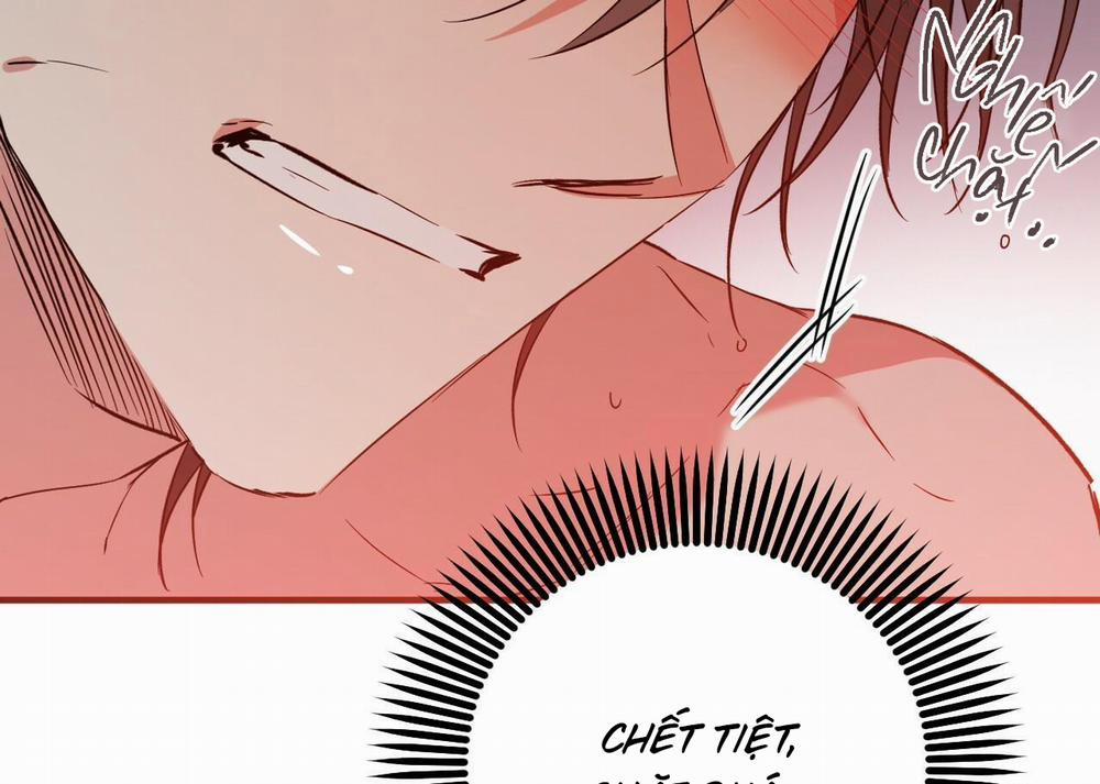 Đàn Thỏ Của Habibi 54 trang 205