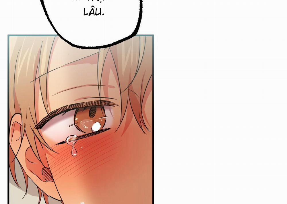 Đàn Thỏ Của Habibi 54 trang 208