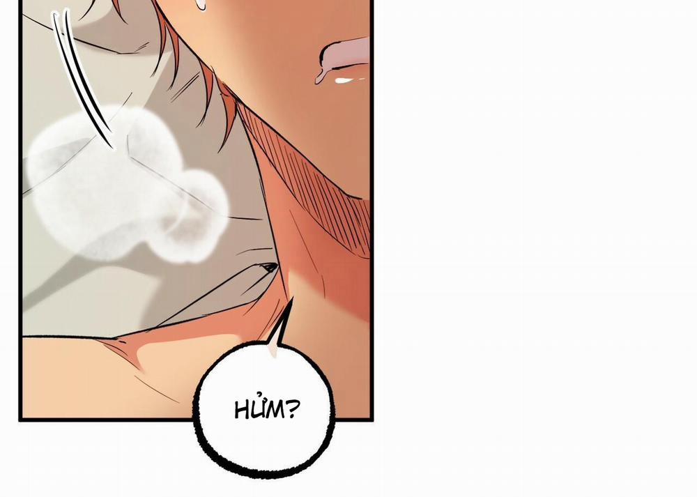 Đàn Thỏ Của Habibi 54 trang 209