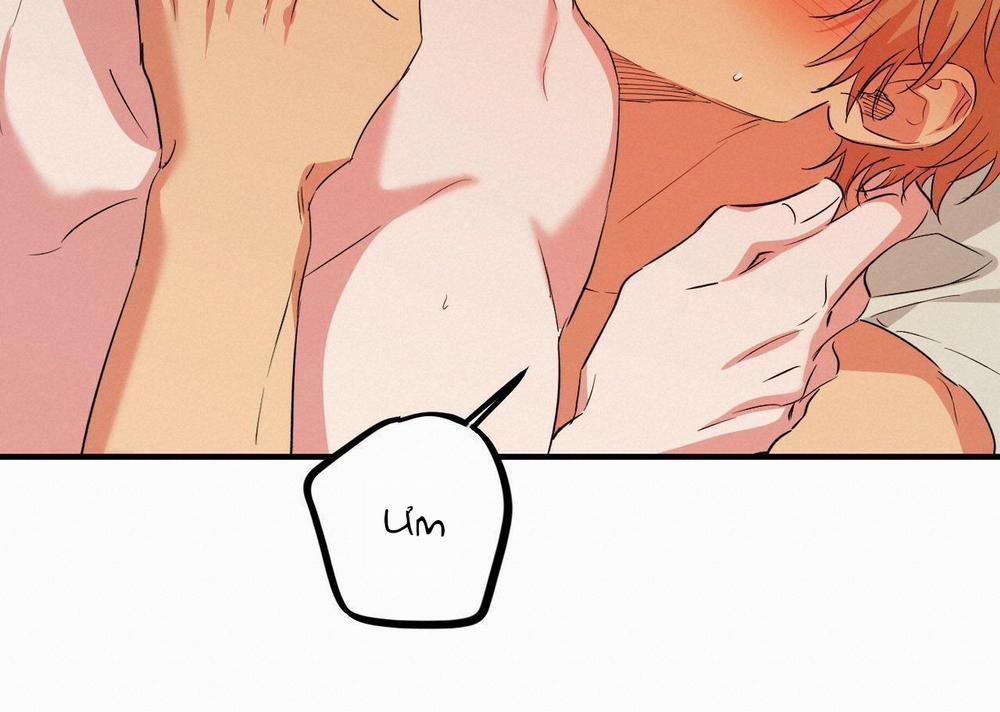 Đàn Thỏ Của Habibi 54 trang 219