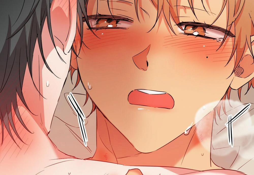 Đàn Thỏ Của Habibi 54 trang 235