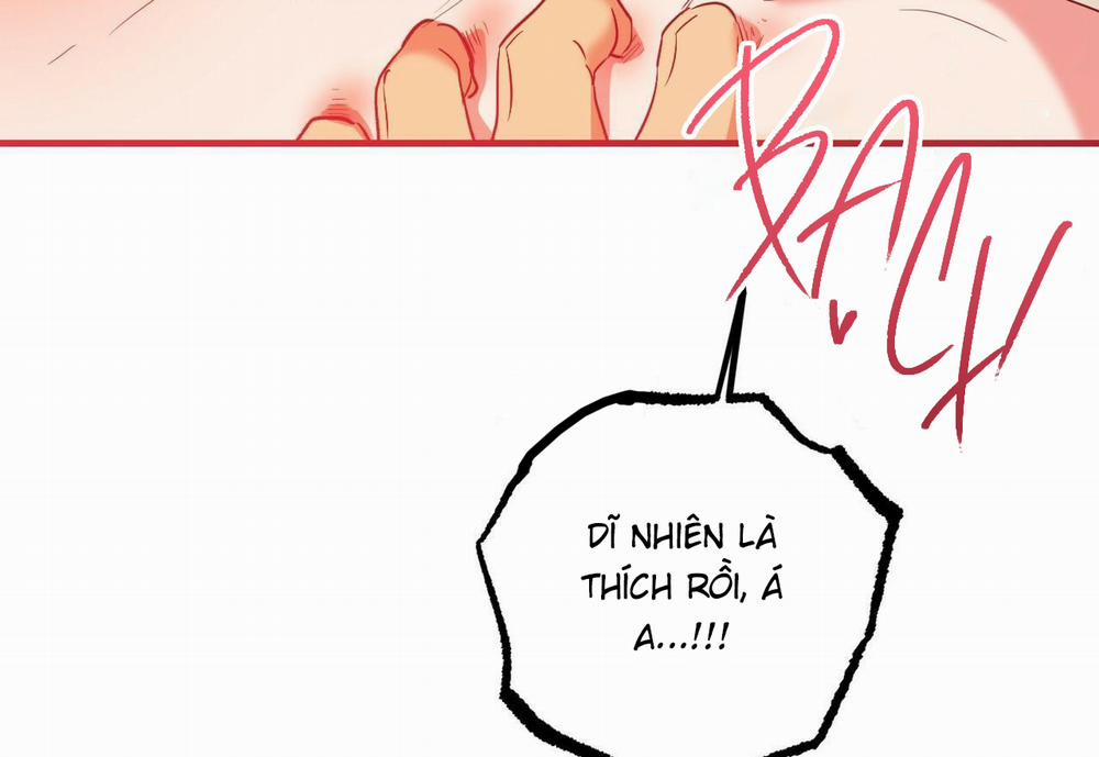 Đàn Thỏ Của Habibi 54 trang 236