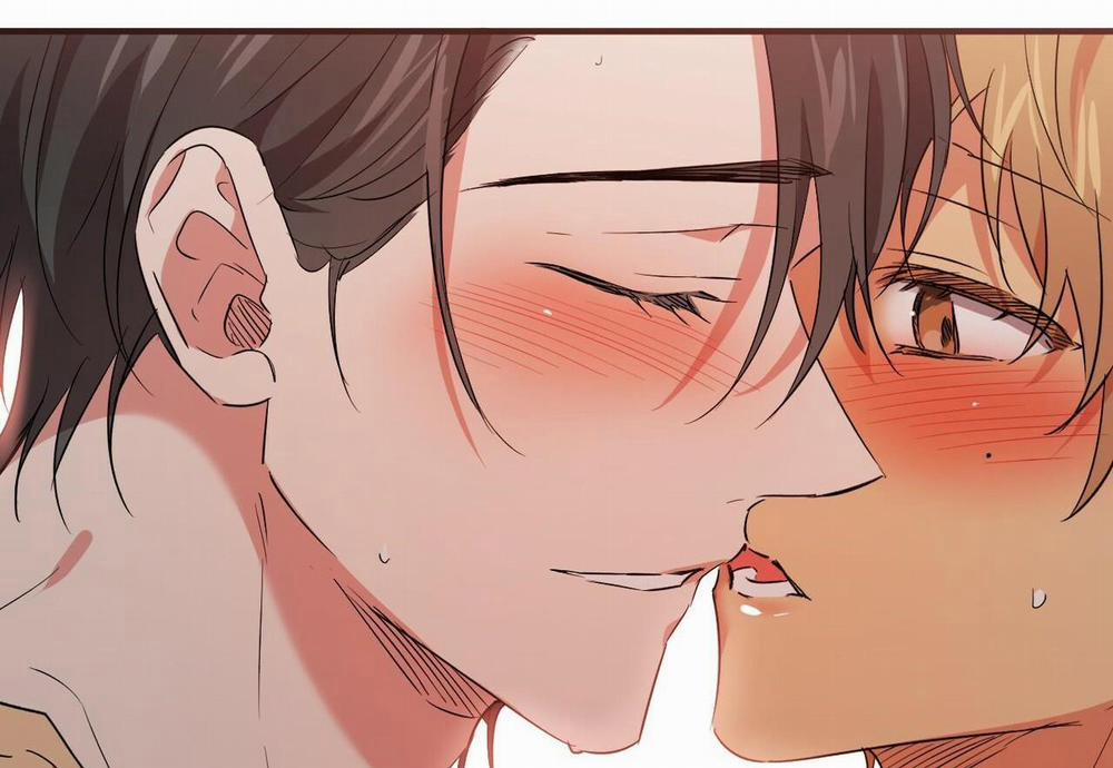 Đàn Thỏ Của Habibi 54 trang 251