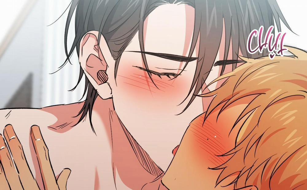 Đàn Thỏ Của Habibi 54 trang 4