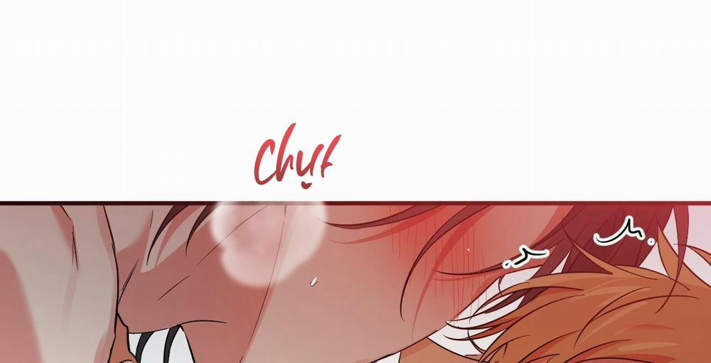 Đàn Thỏ Của Habibi 54 trang 41