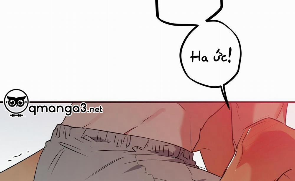 Đàn Thỏ Của Habibi 54 trang 80