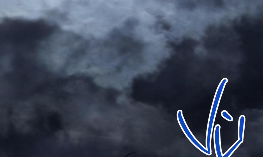 Đàn Thỏ Của Habibi 55 trang 20