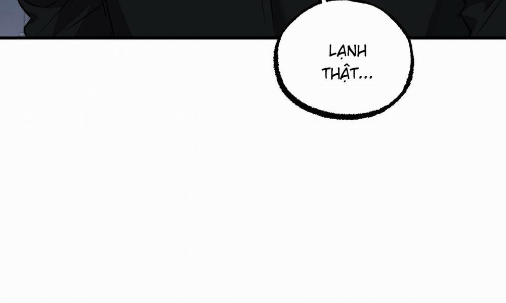 Đàn Thỏ Của Habibi 55 trang 23