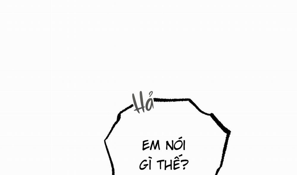 Đàn Thỏ Của Habibi 55 trang 239