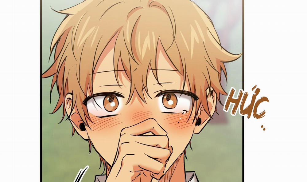 Đàn Thỏ Của Habibi 55 trang 241