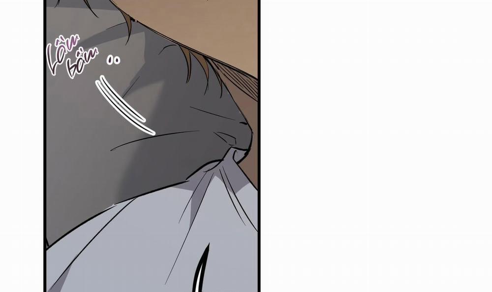 Đàn Thỏ Của Habibi 55 trang 59