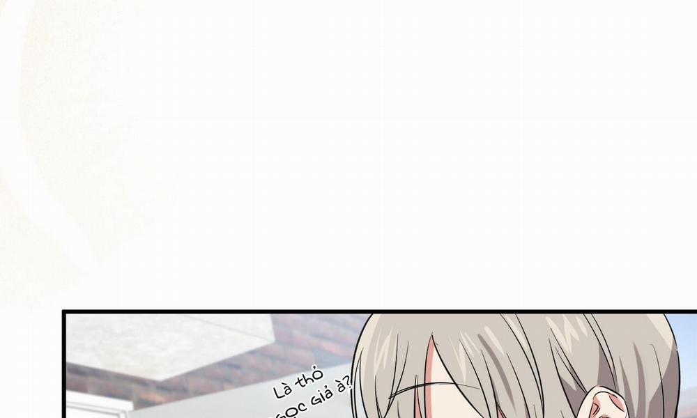 Đàn Thỏ Của Habibi 55 trang 7