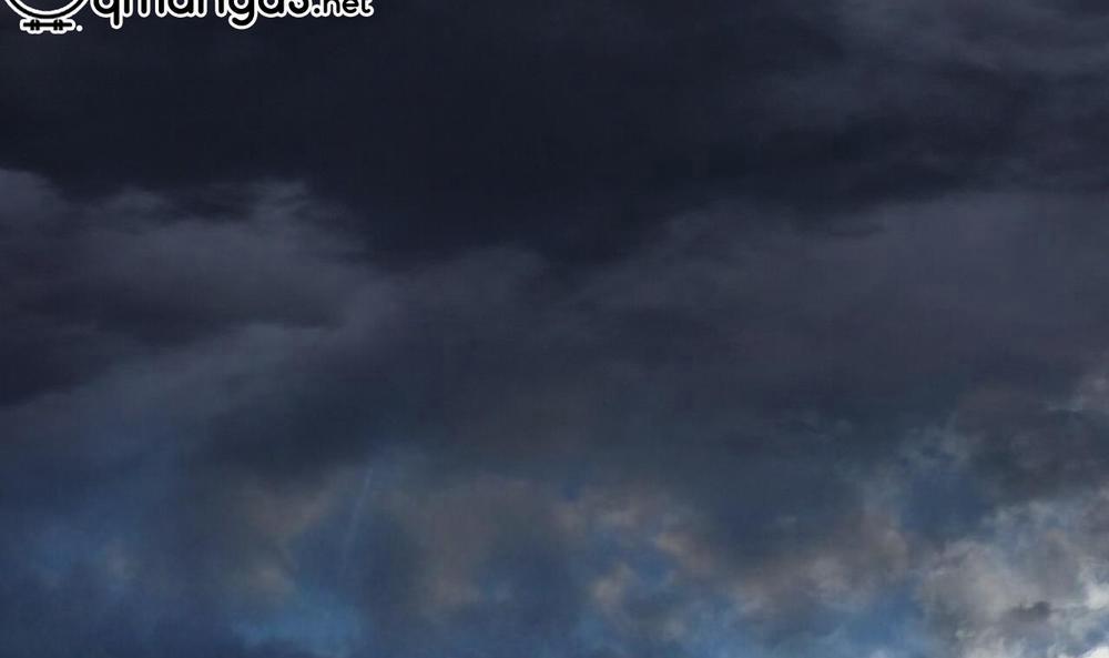 Đàn Thỏ Của Habibi 55 trang 71