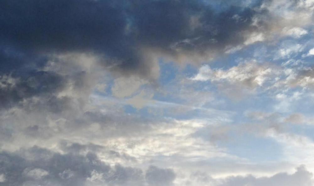 Đàn Thỏ Của Habibi 55 trang 72