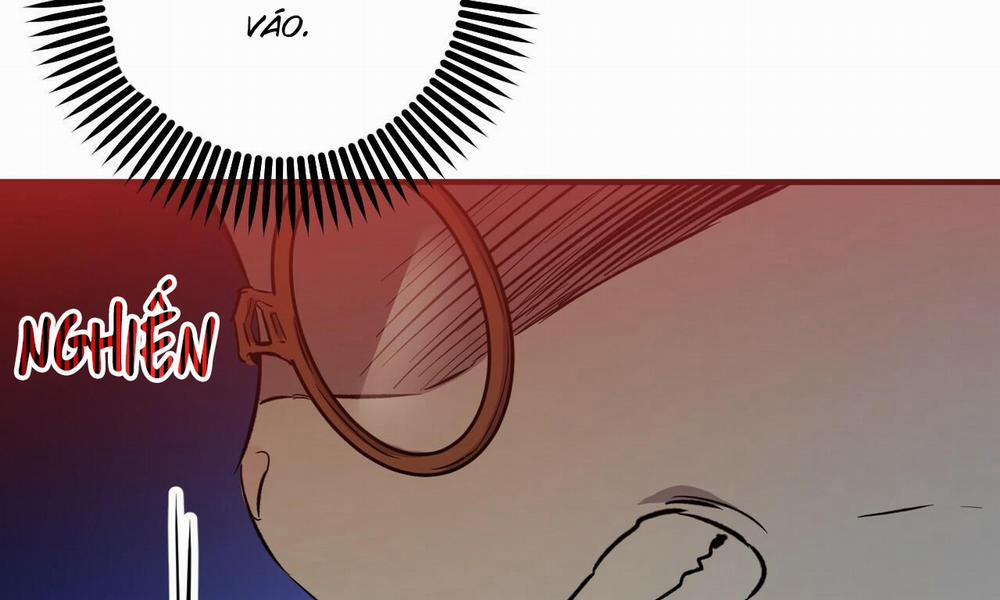 Đàn Thỏ Của Habibi 56 trang 256