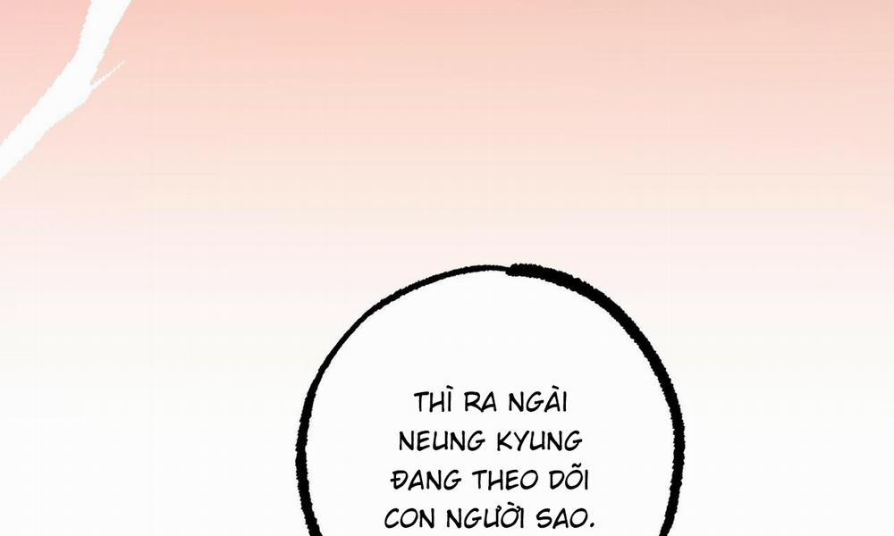 Đàn Thỏ Của Habibi 56 trang 262