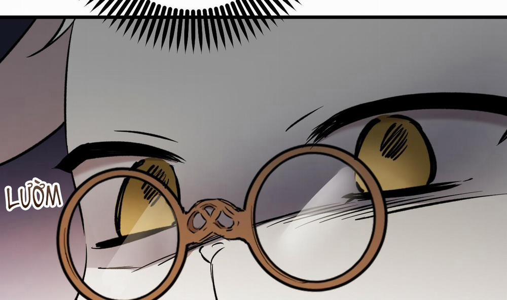 Đàn Thỏ Của Habibi 56 trang 291