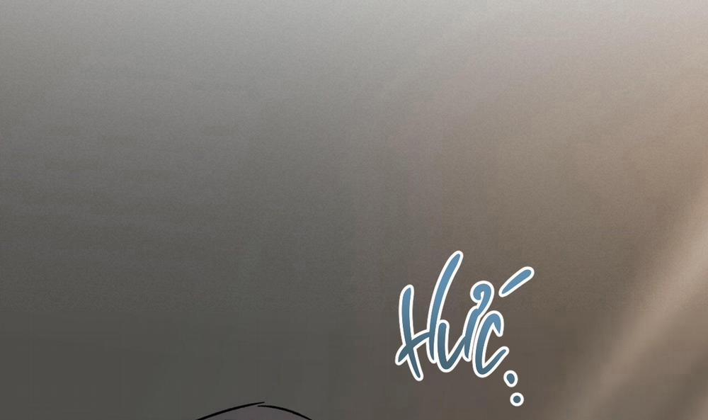 Đàn Thỏ Của Habibi 56 trang 32