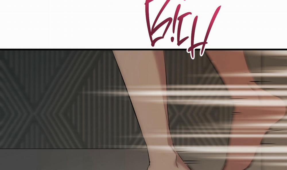 Đàn Thỏ Của Habibi 56 trang 56