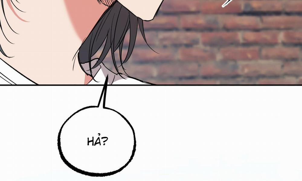 Đàn Thỏ Của Habibi 56 trang 83