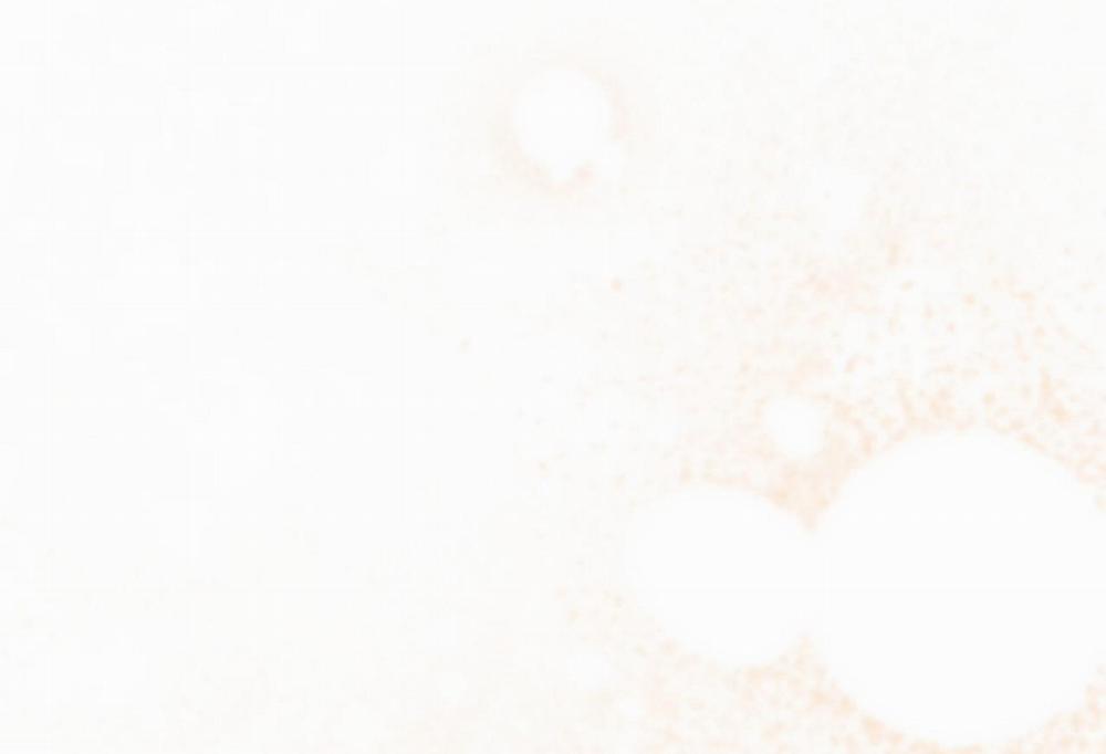 Đàn Thỏ Của Habibi 57 trang 137