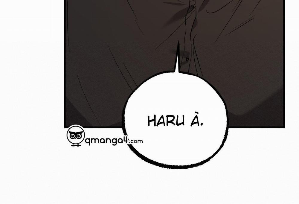 Đàn Thỏ Của Habibi 57 trang 146