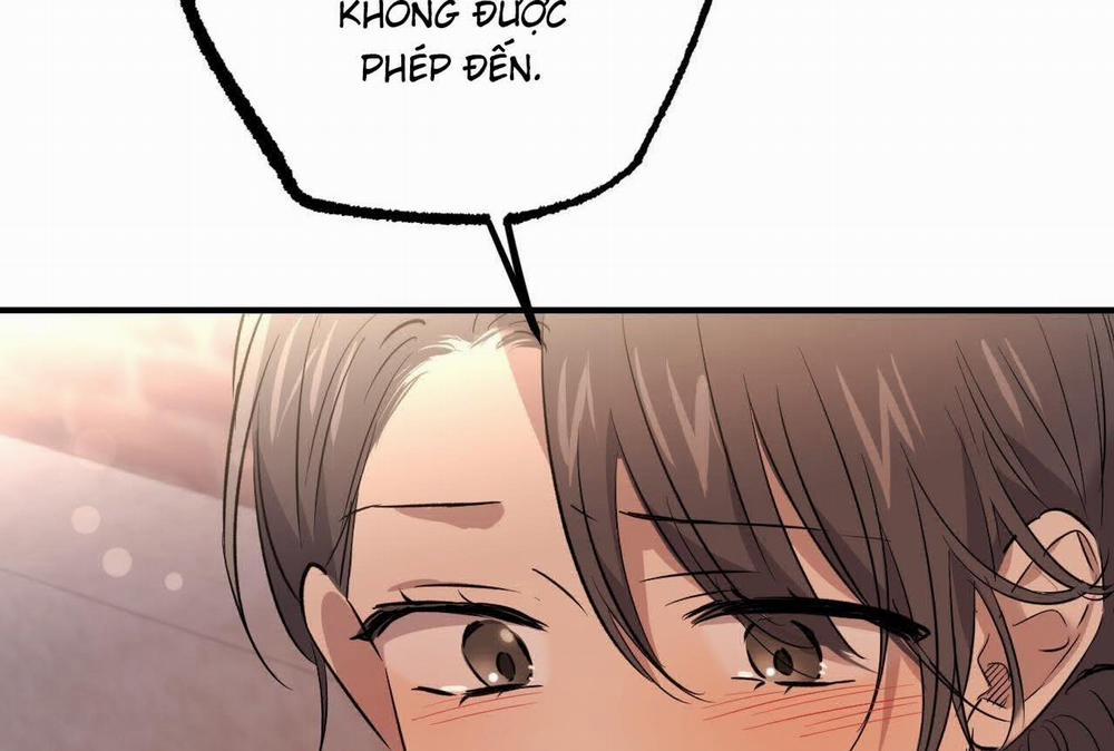 Đàn Thỏ Của Habibi 57 trang 161