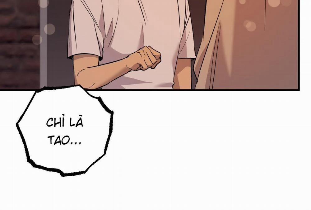 Đàn Thỏ Của Habibi 57 trang 165