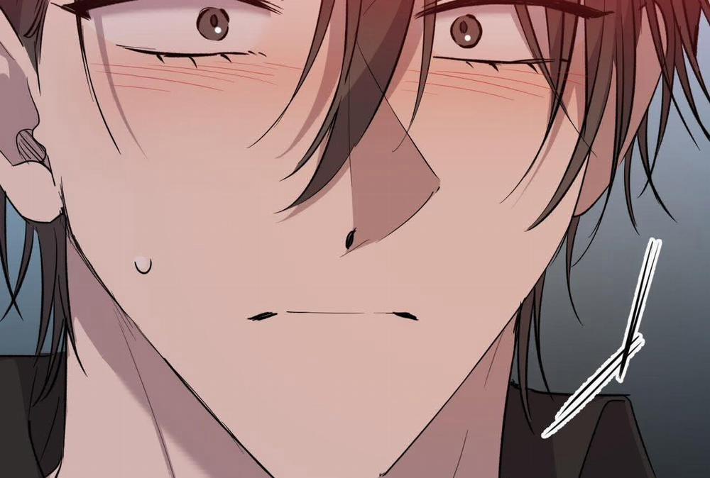 Đàn Thỏ Của Habibi 57 trang 185