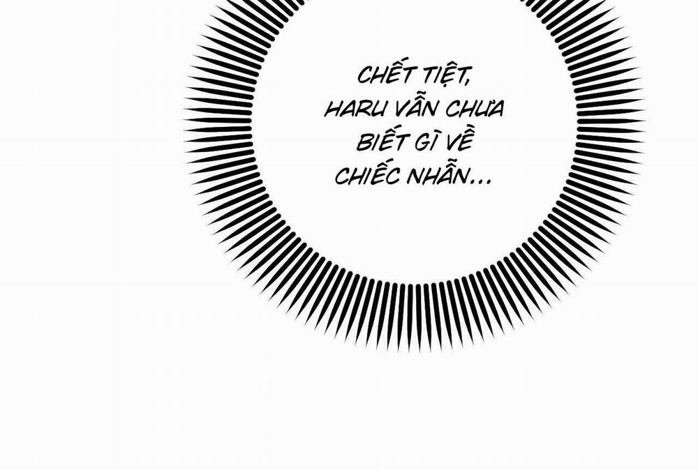 Đàn Thỏ Của Habibi 57 trang 192