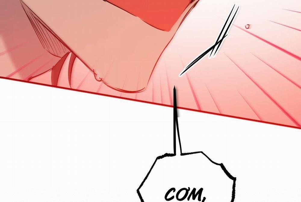 Đàn Thỏ Của Habibi 57 trang 204