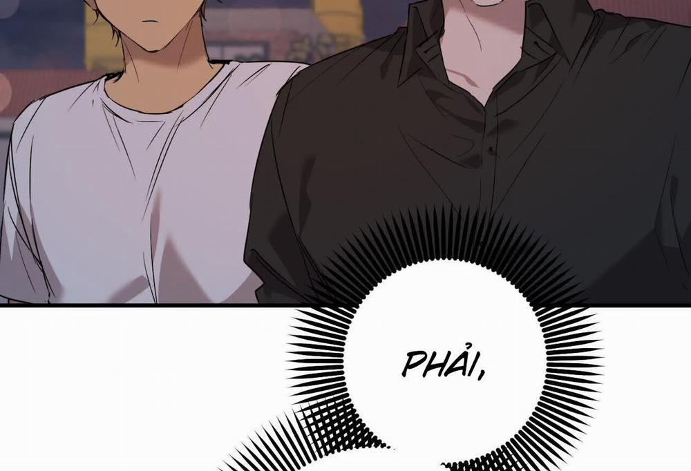 Đàn Thỏ Của Habibi 57 trang 242