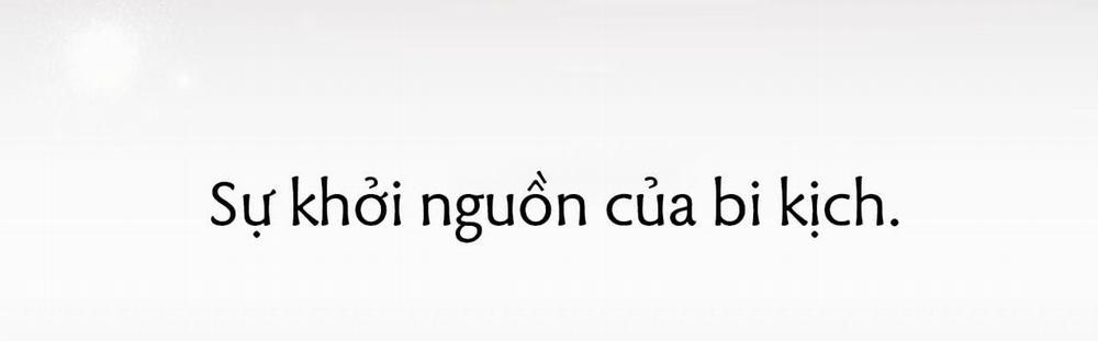 Đàn Thỏ Của Habibi 57 trang 256