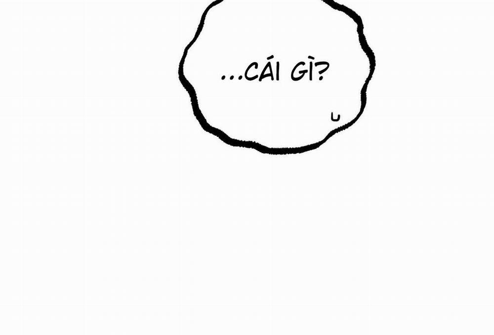 Đàn Thỏ Của Habibi 57 trang 47