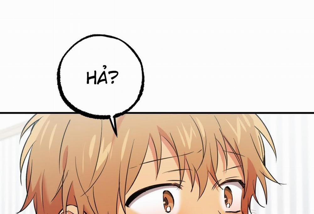 Đàn Thỏ Của Habibi 57 trang 72