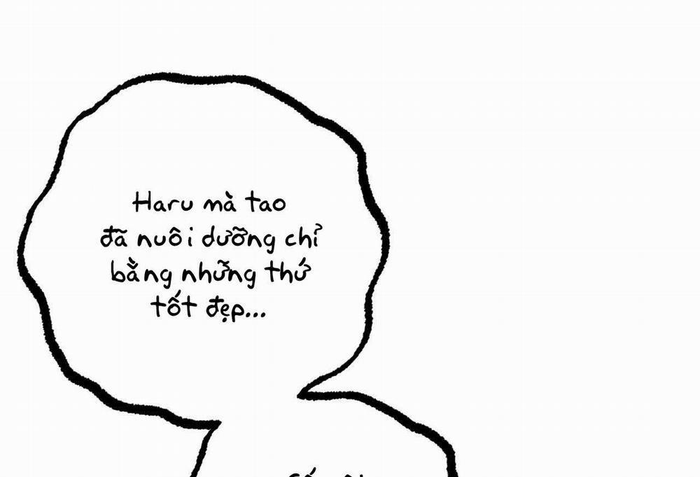 Đàn Thỏ Của Habibi 58 trang 1